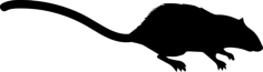 Mouse Mammal Animal Shape Outline Icon Svg Set, Free Vectors File